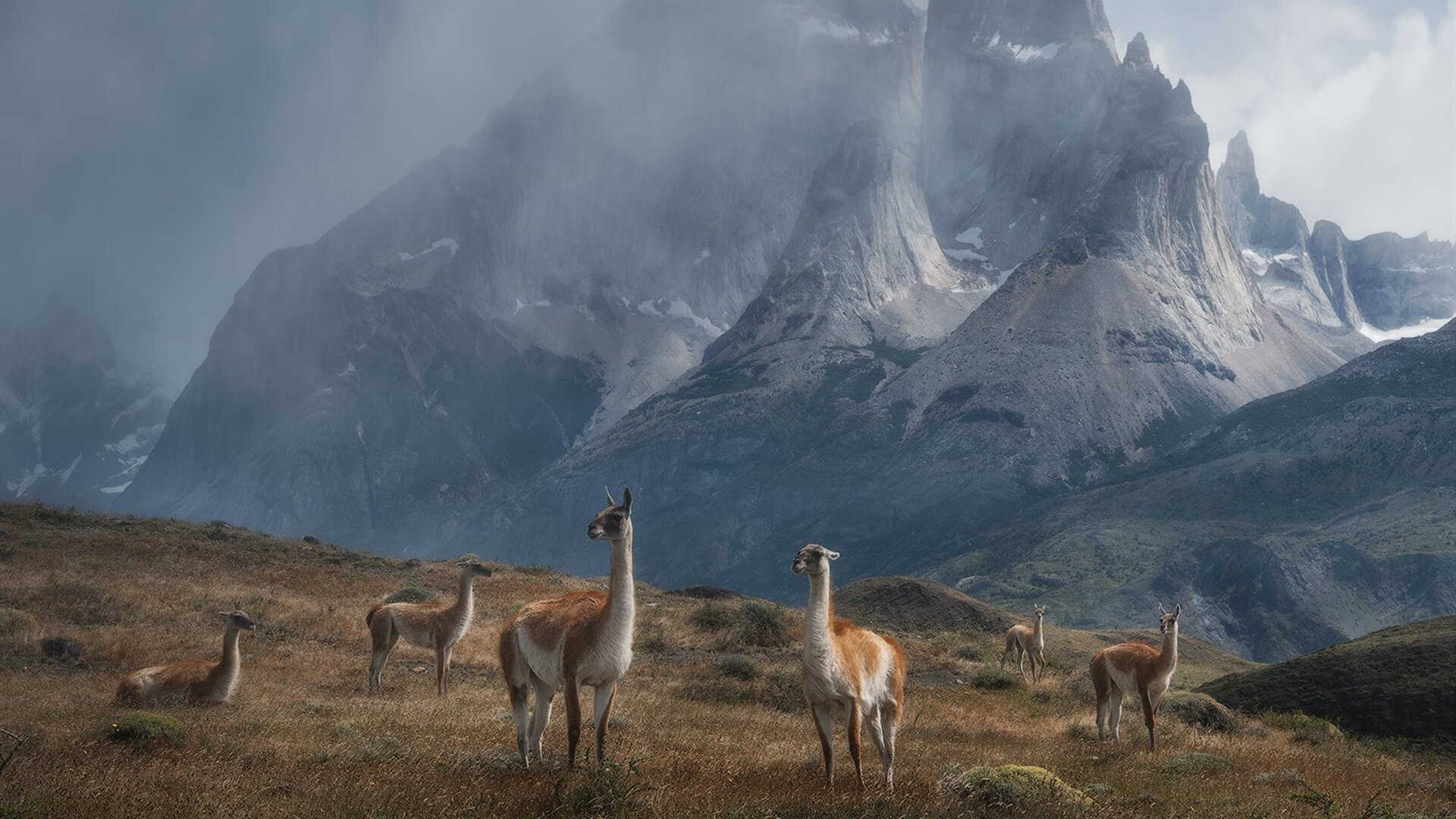 开云体育官方网站登陆-《电竞赞助热潮不断，品牌全方位布局行业》，电竞比赛赞助商一般赞助多少钱